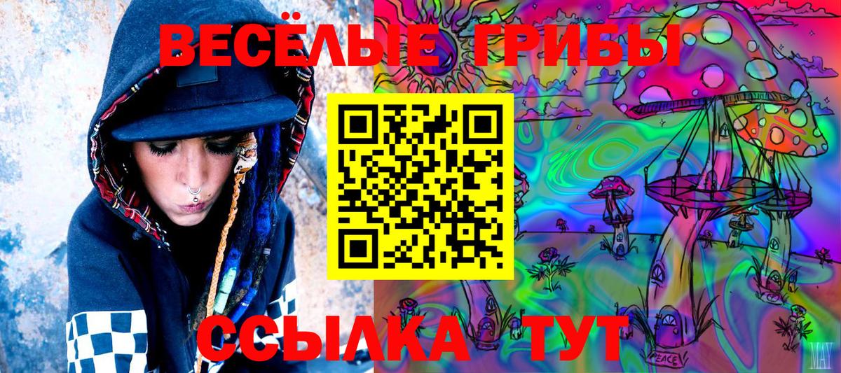 Псилоцибиновые грибы GOLDEN TEACHER Петрозаводск