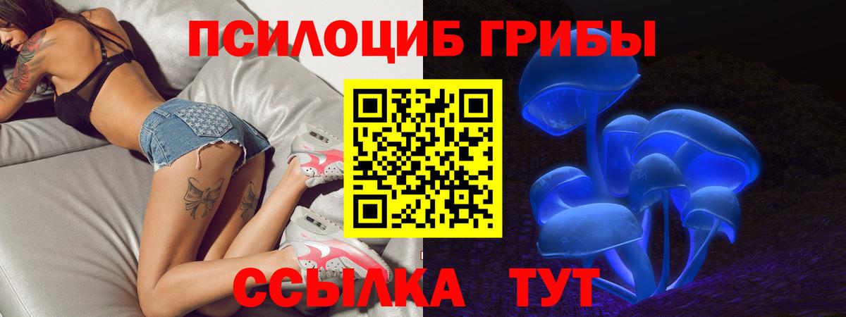 Петрозаводск  Галлюциногенные грибы GOLDEN TEACHER  Вход с VPN  продажа наркотиков  Галлюциногенные грибы Psilocybe 